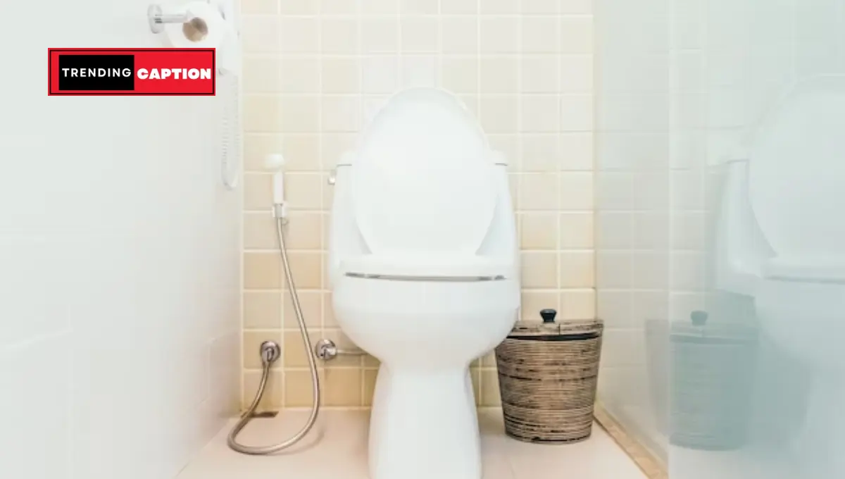 Toilet Captions