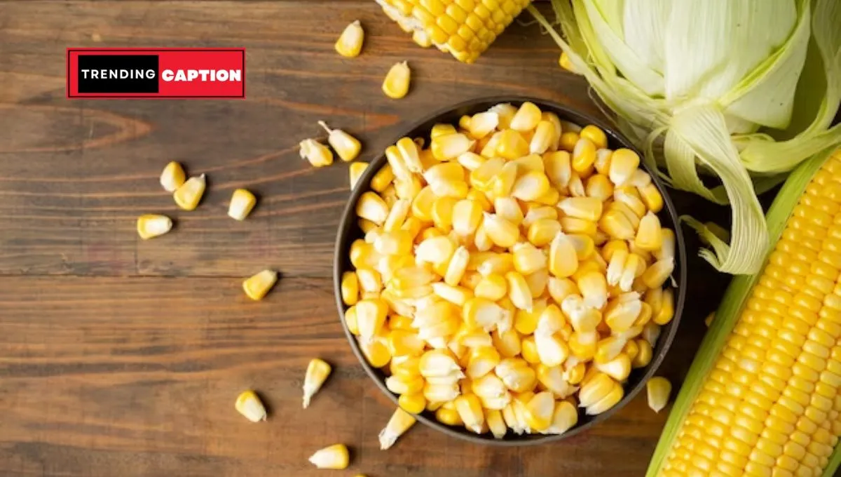 120 Sweet Corn Maze Captions For Instagram