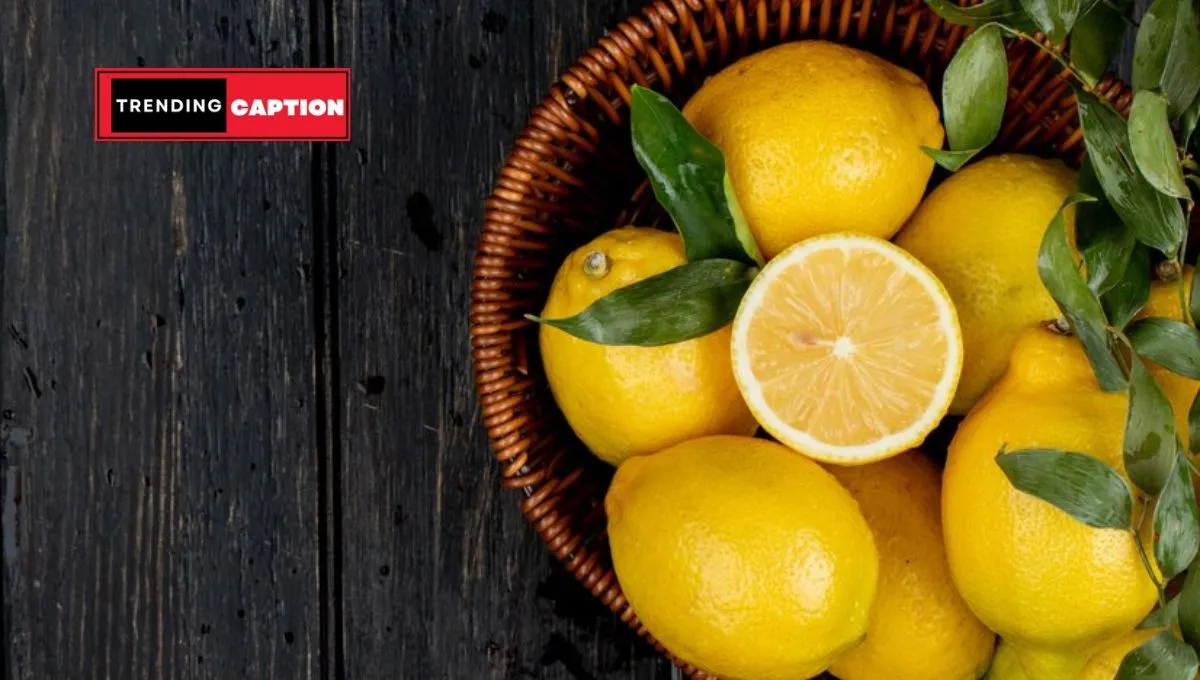 160 Best Lemon Captions For Instagram And Quotes