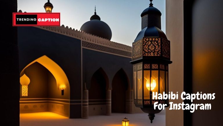 140 Best Habibi Captions For Instagram & Quotes (2023)