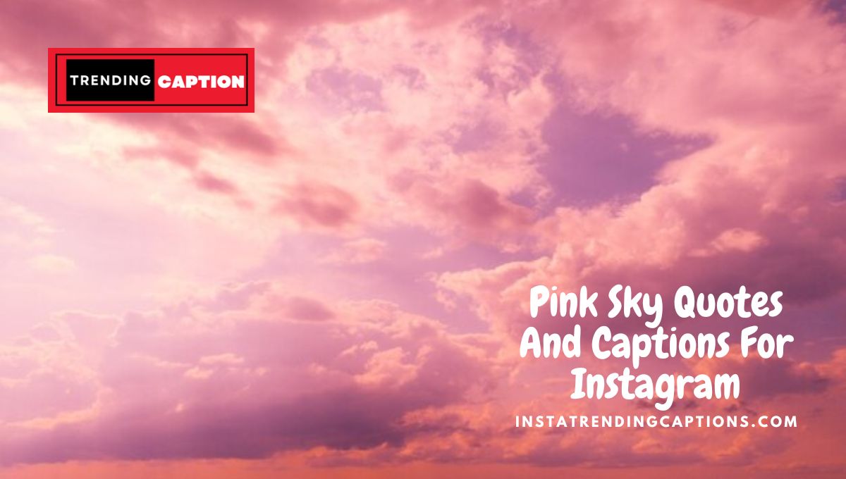 135 Pink Sky Quotes And Captions For Instagram