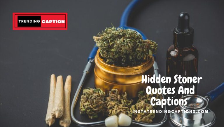 270 Hidden Stoner Quotes And Captions For Instagram