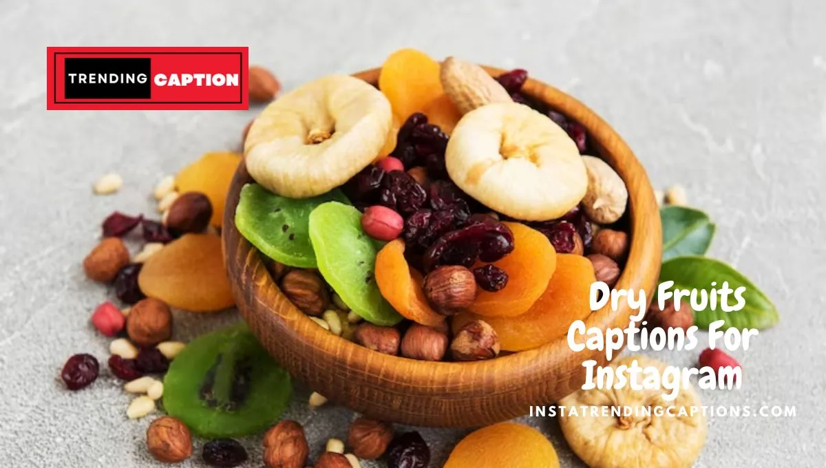 210+ Dry Fruits Captions For Instagram & Quotes (2023)