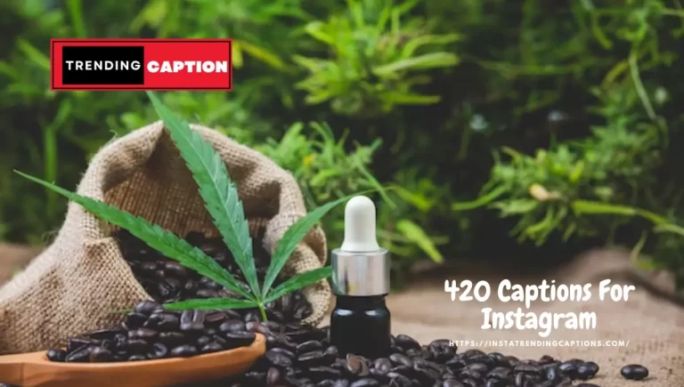 Perfect 420 Captions For Instagram And Quotes
