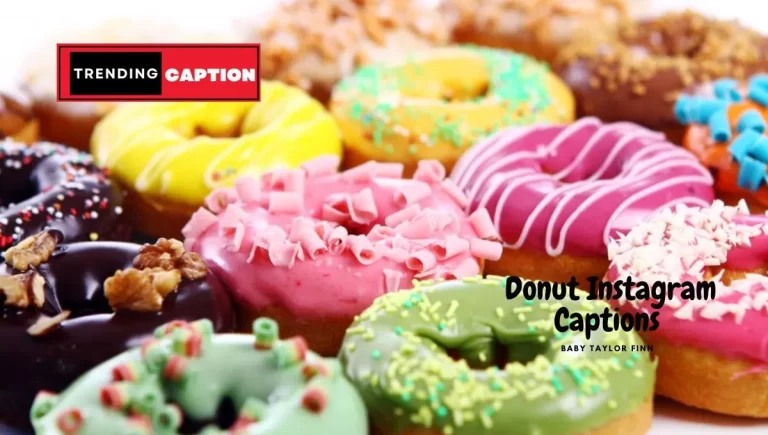 125 Best Donut Instagram Captions With Quotes (2023)