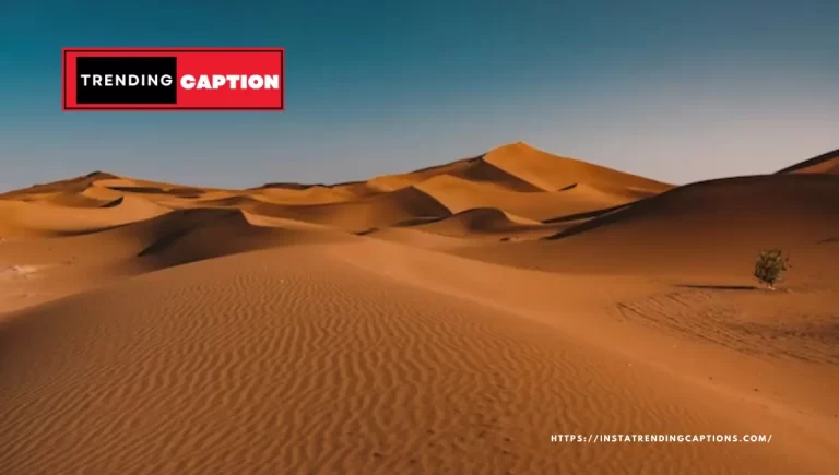 170 Exceptional Desert Caption For Instagram and Musings