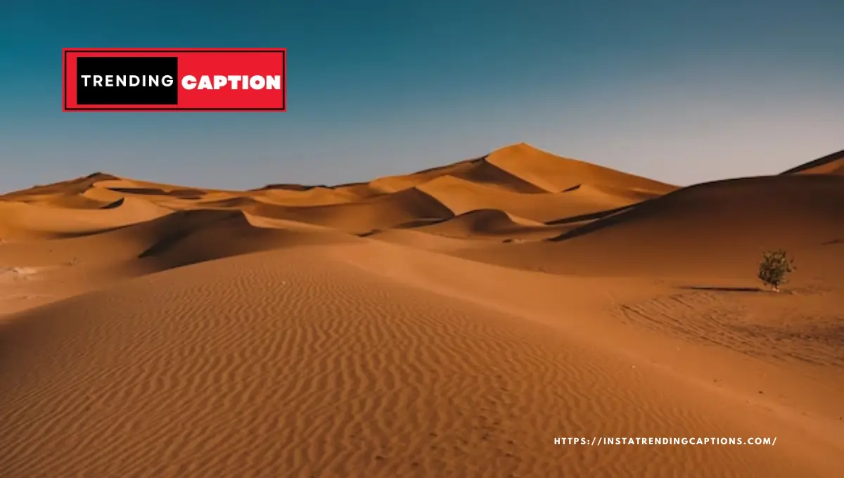 Desert Caption For Instagram