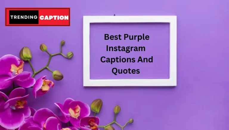 210 Best Purple Instagram Captions And Quotes